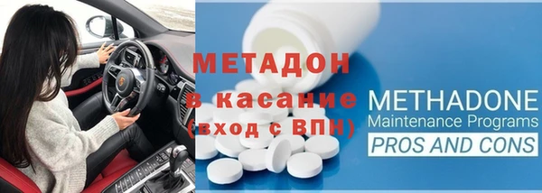 индика Алзамай
