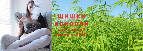индика Алзамай