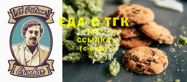 индика Алзамай