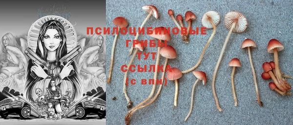 a pvp Алексеевка