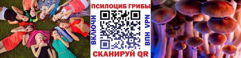 Псилоцибиновые грибы Psilocybe  цена   Кирово-Чепецк 